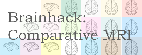 Brainhack: Comparative MRI
