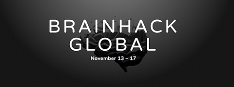 Brainhack Global 2019