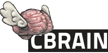 Niak in CBRAIN