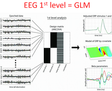 LIMO EEG Toolbox