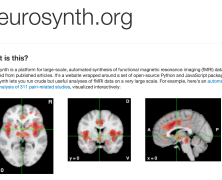 Flasking Neurosynth  