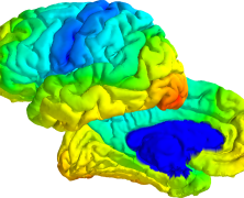 Cortical Distance Tools in Python