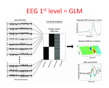 LIMO EEG LIMO-EEG