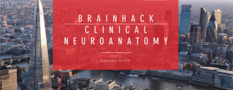 Brainhack London - Clinical Neuroanatomy 2017